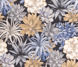 Tapeet Echeveria BOTA 85911964