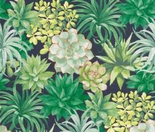 Tapeet Echeveria BOTA 85917396