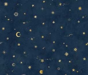 Mural Starry Sky 659-96