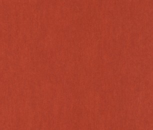 Wallpaper Shine 293769