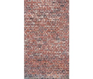 Фотообои One Roll One Motif A39201