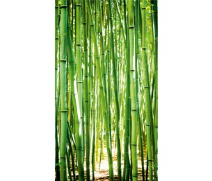 Фотообои One Roll One Motif A36901