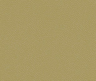 Tapeet Pinto 36140