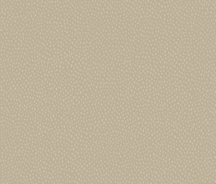 Tapeet Pinto 36142