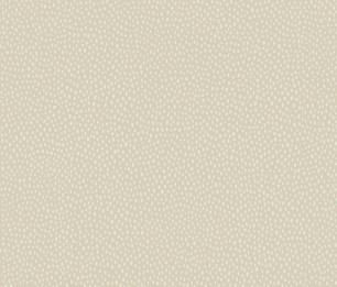 Tapeet Pinto 36144