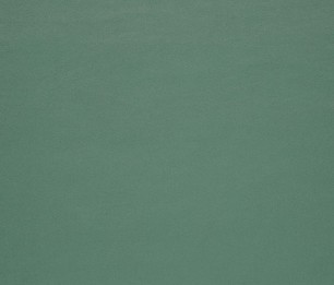 Kangas Islington Fern