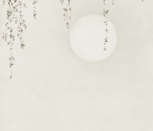 Valokuvatapetti Wabi Sabi 644-06