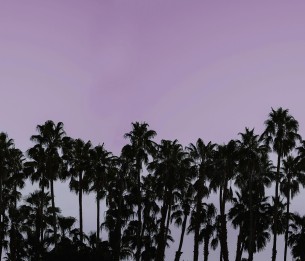 Mural Riviera Daydream R16052