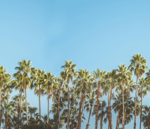 Mural Riviera Daydream R16051