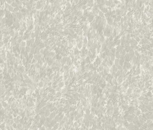 Wallpaper Panthera 65870