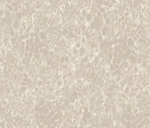 Wallpaper Panthera 65871