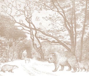 Fototapeet XL Forest with forest animals 159064