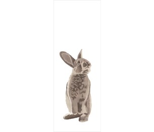 Fototapeet XL Rabbit 159052
