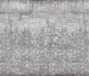 Mural Climbing Clorofyl R13994