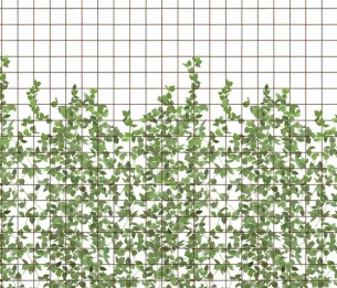 Mural Climbing Clorofyl R13993