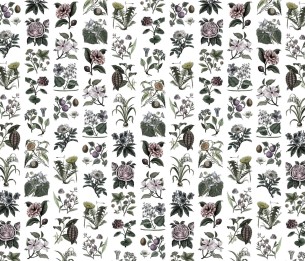 Mural Fruit & Flora R13172