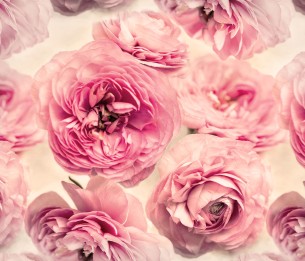 Mural Summer Wind R13091