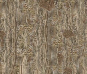 Wall Mural Cricket GLCR072B