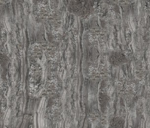 Wall Mural Cricket GLCR073B