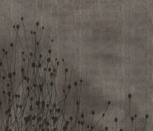 Wall Mural Cicada GLCR051A