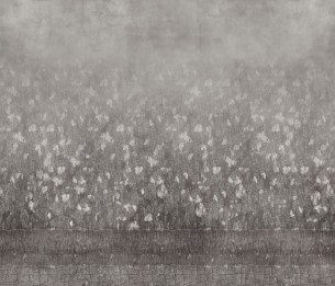 Wall Mural Flea GLCR013A