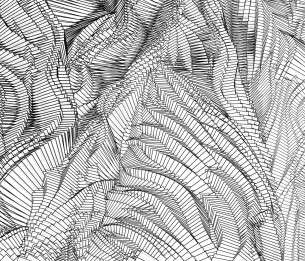 Wall Mural Zebra HL141A