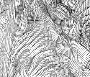 Wall Mural Zebra HL141B