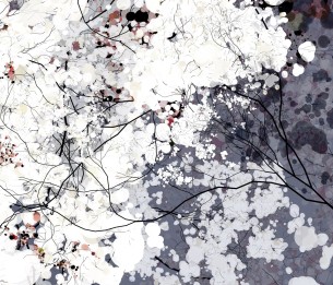 Wall Mural Clouds HL151A