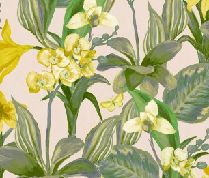 Wallpaper Orchidea BR24082