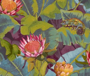 Wallpaper Amazonas BR24091