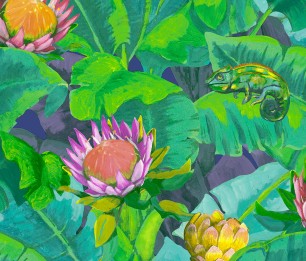 Wallpaper Amazonas BR24092