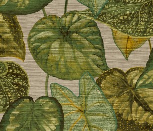 Wallpaper Tropical Leaves TA25052