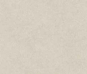 Wallpaper Leather Plain TA25020
