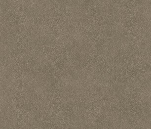 Wallpaper Leather Plain TA25024