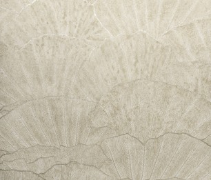 Tapetti Seashell 65003