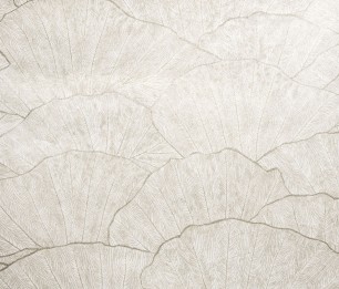 Tapetti Seashell 65004