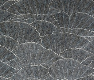 Tapetti Seashell 65005