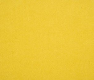 Textile Dream Velvet 202.20