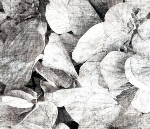 Wall Mural Park GLNA104A