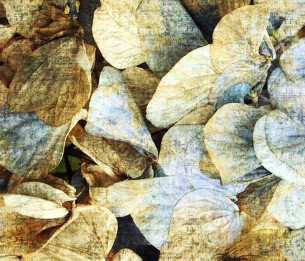 Wall Mural Park GLNA101A