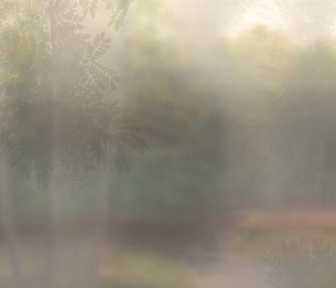 Wall Mural Soffuso GLXII532B