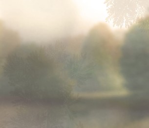 Wall Mural Soffuso GLXII532A