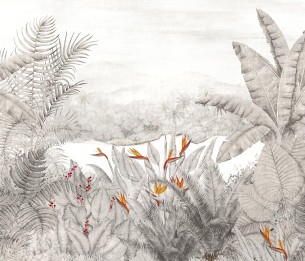 Фотообои Rainforest Night