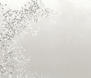 Фотообои Climber Porcelain