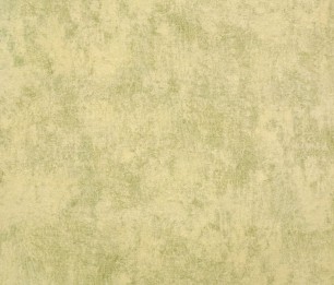 Wallpaper Monstera Plain 26944