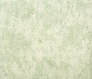 Wallpaper Monstera Plain 26945