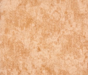 Wallpaper Monstera Plain 26946