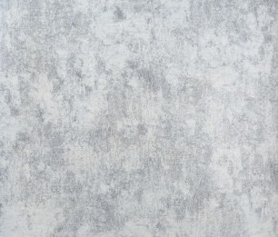 Wallpaper Monstera Plain 26949