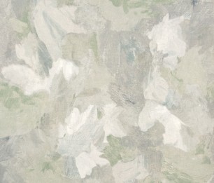 Wallpaper Paeonia Plain 26907