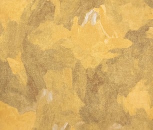 Wallpaper Paeonia Plain 26913